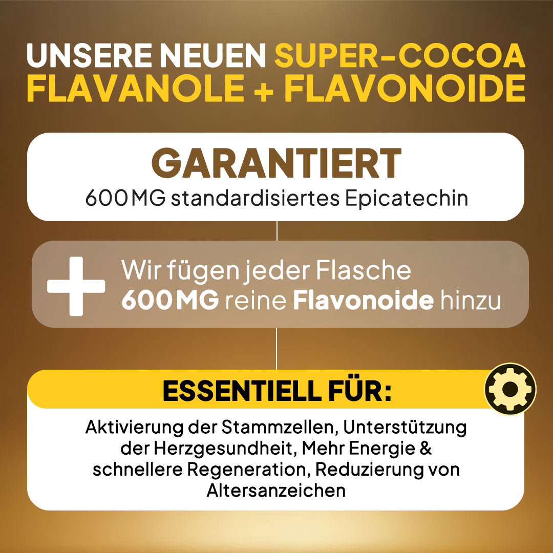 Cacao's – Hochkonzentrierter Kakao